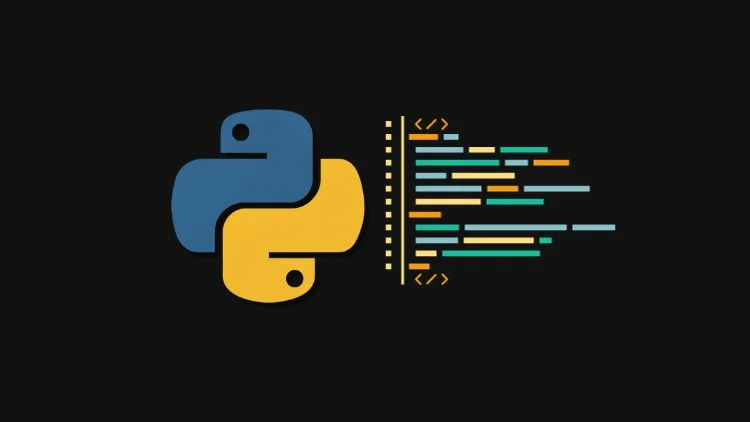 Learn Python in 30 Days Plan
