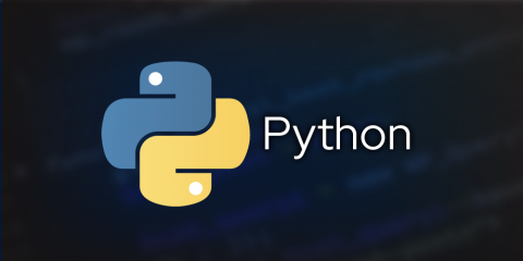 What Is Python? A Beginner’s Guide