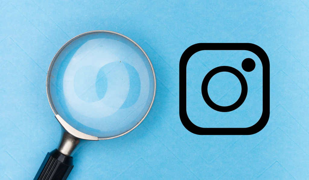 Niche Selection Guide for Instagram Faster Growth